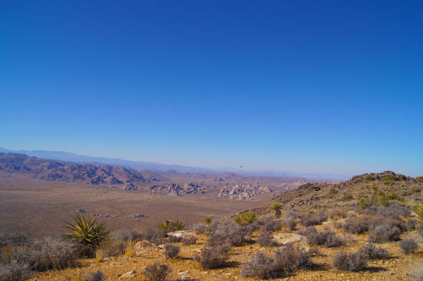 istock Mojave Desert - Joshua Tree National Park Landscape 1192162939