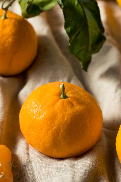 istock Raw Orange Organic Mandarins 1192164086