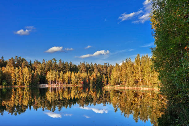 istock Forest lake reflection in autumn 1192166016