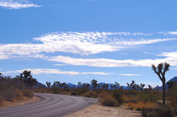 Mojave Desert - Joshua Tree National Park Landscape, shot with a Sony DSC.
