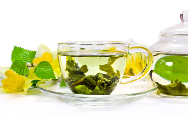 istock Spring still life. Green tea with tea leaves, daffodil flowers and green tree branches 1192168522
