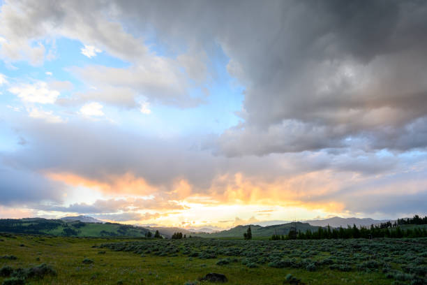 istock Field in Yellowstone with Bright Sunlight in Clouds 1192169275