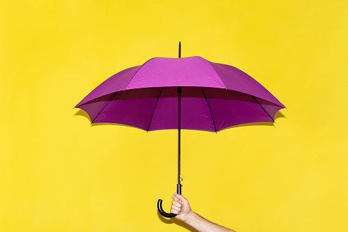 A man holds in his hand a purple umbrella on a background of yellow-lime wall.