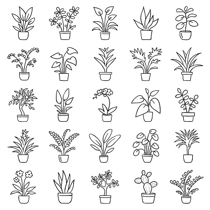 Set of simple images of house plants in pots. Doodle icon set. Hand drawn vector illustration.