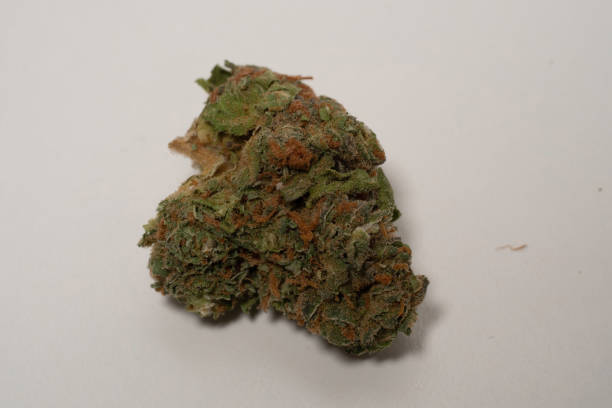istock Medical cannabis bud White background 1192171944