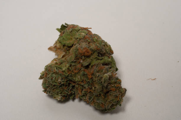 istock Medical cannabis bud White background 1192171945