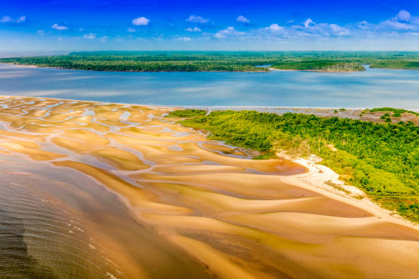Typical Amazonian scene
