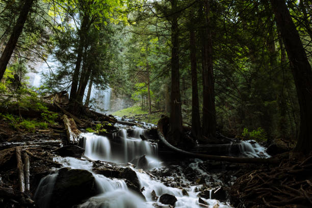 istock Long exposure of small river torrent with cascades flows through the forest 1192177066