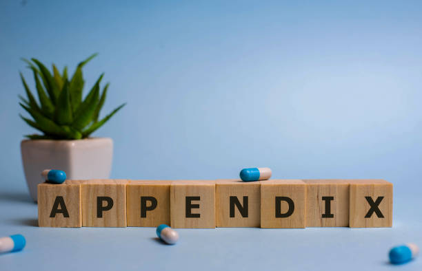 istock APPENDIX word made with building blocks, medical concept 1192177702