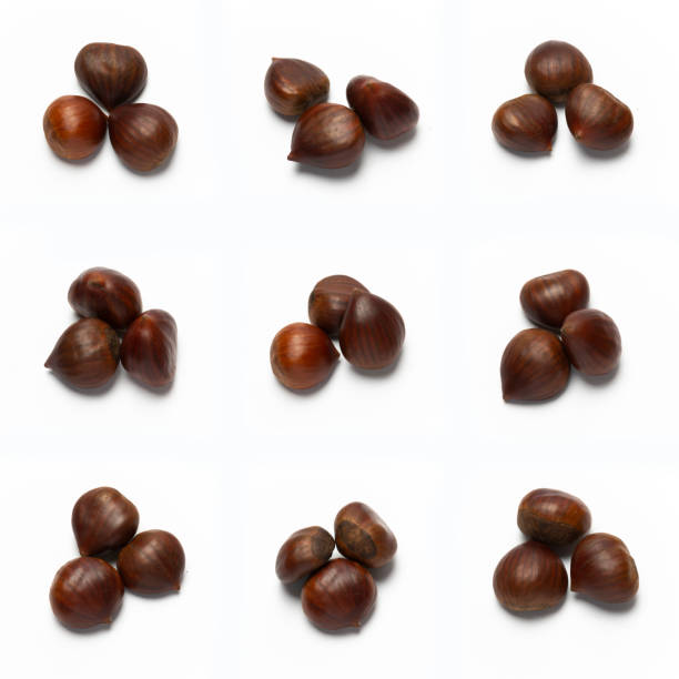 istock Variations of Chestnuts, isolated on white background 1192180775