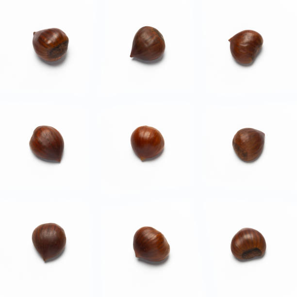 Variations of Chestnuts, isolated on white background
