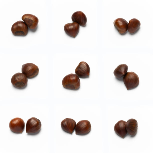 istock Variations of Chestnuts, isolated on white background 1192180778