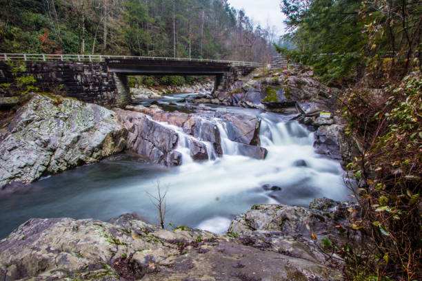 мост через водопад раковины в национальном парке грейт-смоки-маунтинс - gatlinburg road winding road tennessee стоковые фото и изображения