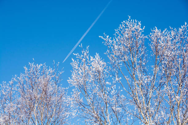 Winter cold morning blue sky and contrail