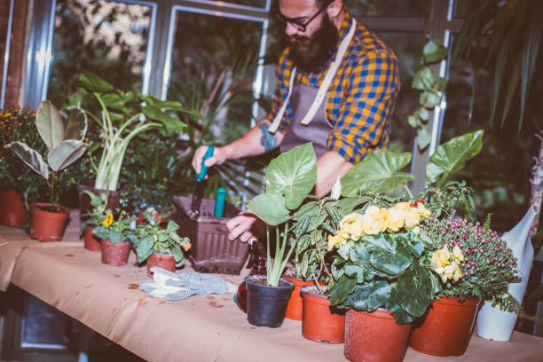 istock Small home greenhouse 1192185653