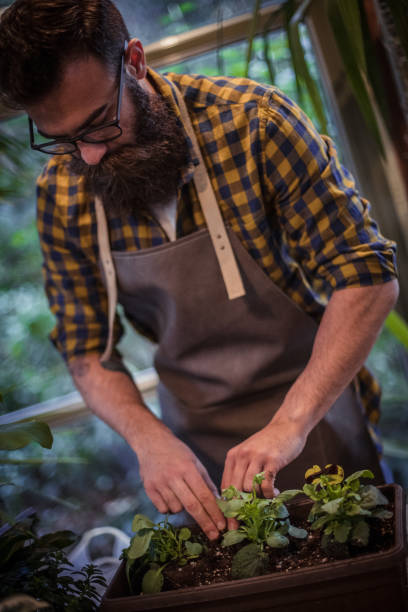 istock Gardener in a flower shop 1192185657