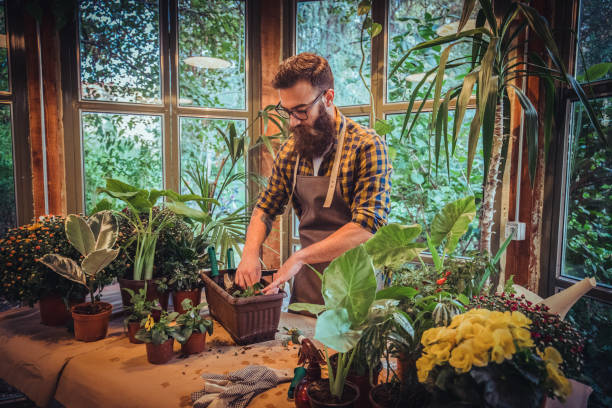 istock Greenhouse gardening 1192185658