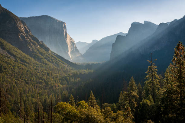 istock Yosemite National Park 1192186990