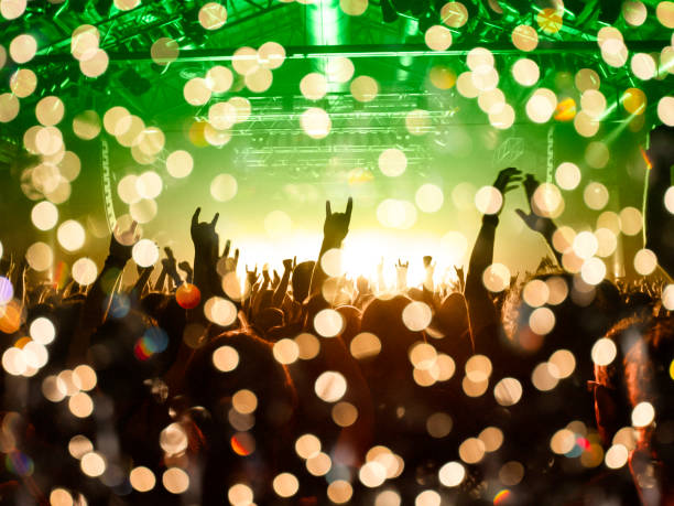 istock Music festival crowd 1192188208