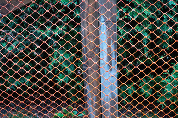 istock Wire fence ,chain fence texture. 1192207672