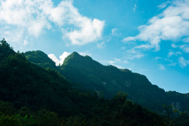 istock Steep mountains and forests under the sky 1192209829