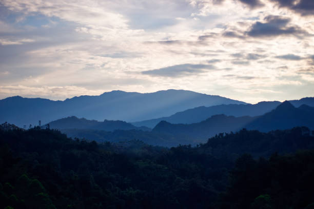 istock Beautiful mountains and forests with fog.At sunset. 1192209856