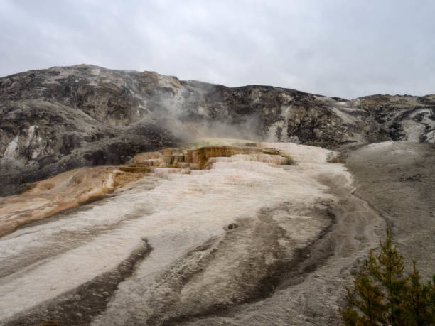 istock Geysers letting off steam 1192211610