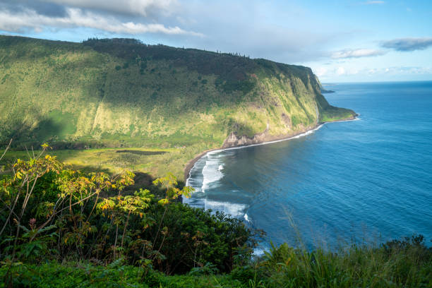 istock View from top of Waipi'o valley, Hawaii 1192225177