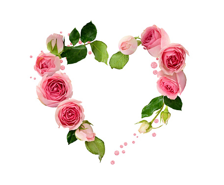 Pink rose flowers, buds and glitter confetti in a heart shape arrangement isolated on white background for Valentine Day