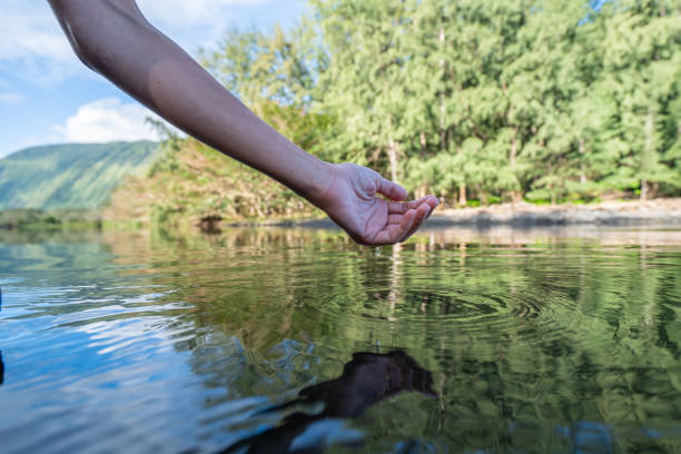 human hand cupped to catch fresh water from river valley, waipio - hamakua coast imagens e fotografias de stock