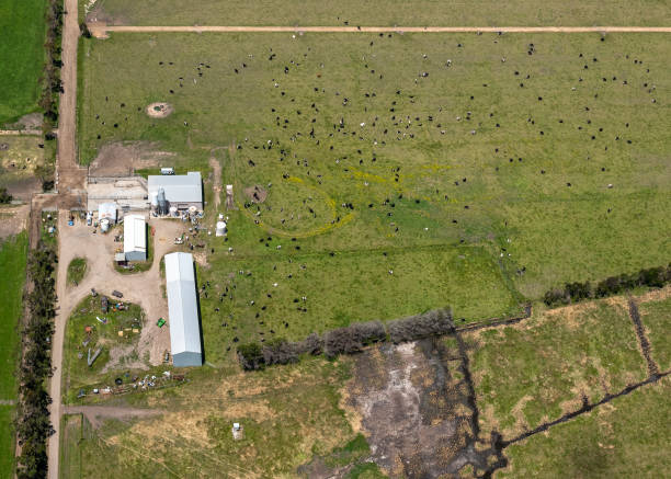 istock Australian aerial photographs 1192227580