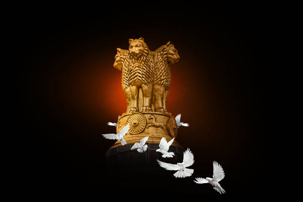 National Emblem of India with White pigeon National Emblem of India with White pigeon sarnath stock pictures, royalty-free photos & images