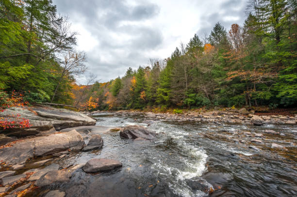 istock Appalachian mountain river with rapids during Autumn with Fall colors 1192234681