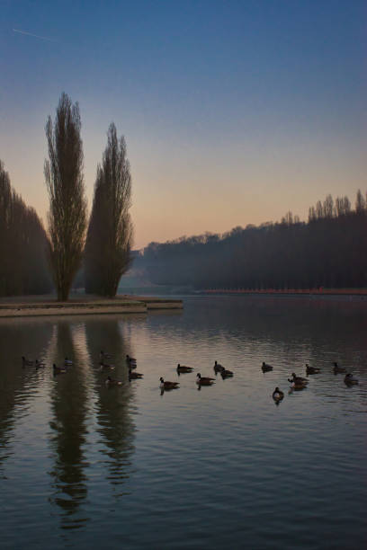 istock Early morning light in the park 1192234837