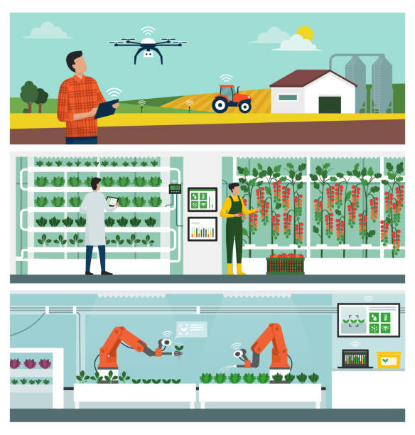 Smart agriculture and IOT Smart agriculture and IOT technology: industrial farm management, vertical hydroponics farming and autonomous robots harvesting plants precision agriculture stock illustrations