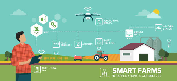 Smart agriculture and IOT Farmer managing his industrial farm with a mobile app on his tablet, IOT and smart farming concept precision agriculture stock illustrations