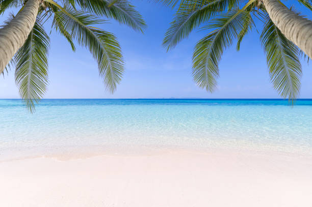 istock Sea view tropical sea with summer background. 1192242123