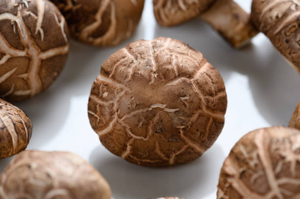 istock Shiitake mushrooms on the wooden background. 1192242344