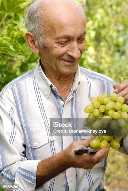 Senior Dei Produttori Di Vino - Fotografie stock e altre immagini di Abbigliamento casual - Abbigliamento casual, Abilità, Adulto