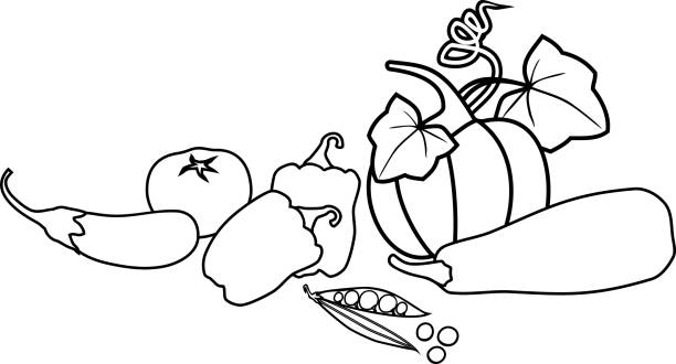 Courgette Colouring In 90+ Big Courgette Stock Illustrations, Royalty-Free Vector Graphics ...