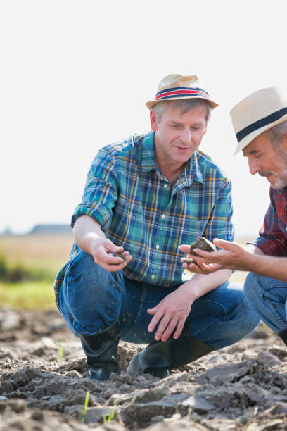 istock Farmers discussing over soil in field 1192248470