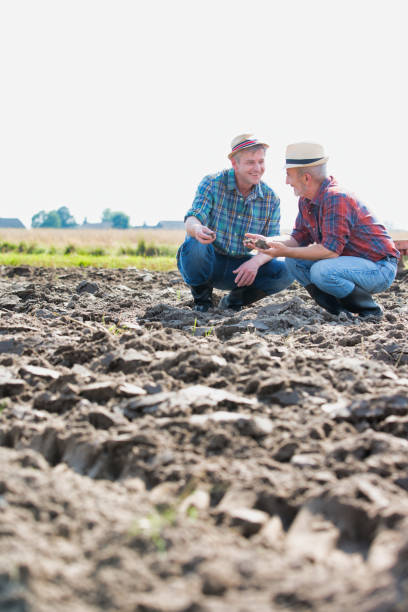 istock Farmers discussing over soil in field 1192248511