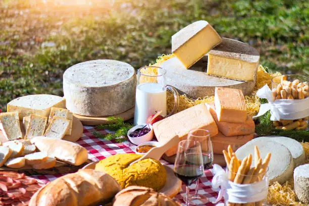 Photo of Cutting board of typical Bergamo products from the Taleggio valley. Cheeses. Polenta.