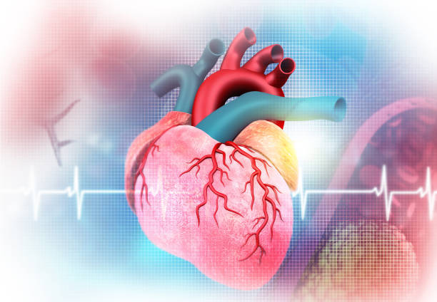 istock Human Heart and EKG ECG Graph 1192250465