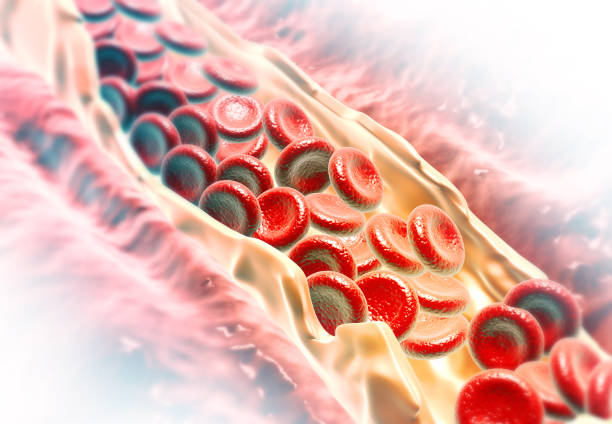 istock Blood cells moving through blood vessel 1192250601