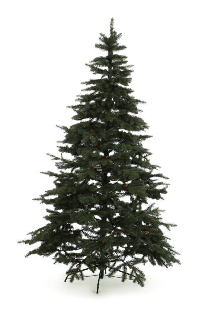 istock Green fir tree isolated on white background 1192251435