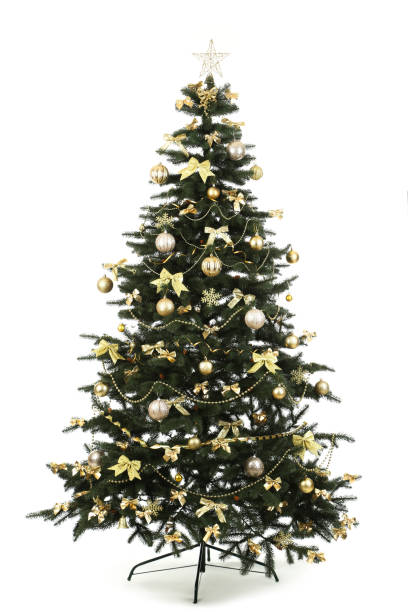 istock Christmas fir tree with ornaments isolated on white background 1192251614
