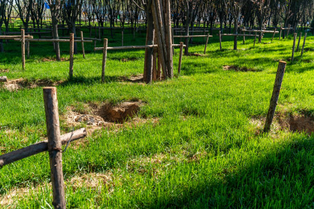 istock Urban green belt, green grass 1192253222