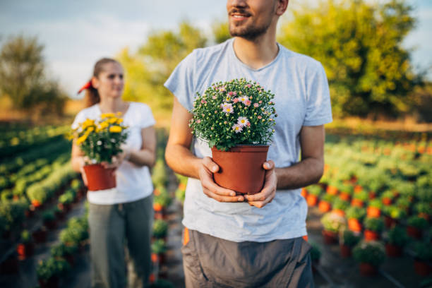 istock Two people working on flower farm 1192254313