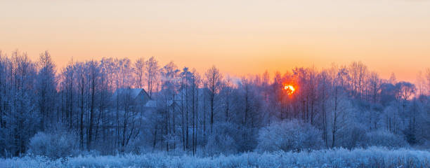 the beautiful winter rural landscape